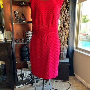 Elegant Red Textured Dress